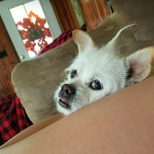 Posh love from Samson, I miss him